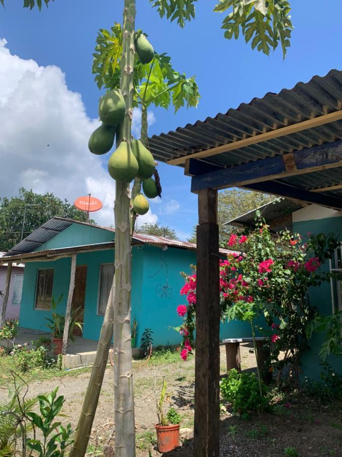 فيلا Alba House Puerto Jiménez المظهر الخارجي الصورة